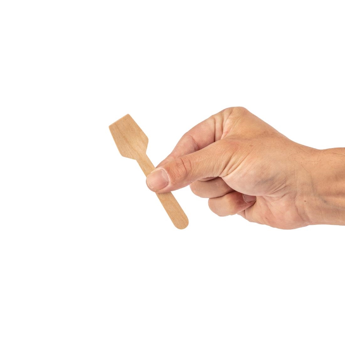 Fiesta Compostable Wooden Ice Cream Spoons (Pack of 100)